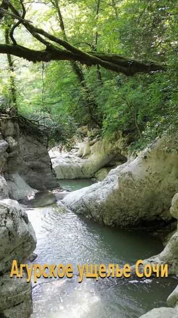 Природа Сочи, Агурское ущелье, Сочи сегодня, Природа Кавказа, Природа России, Ущелья