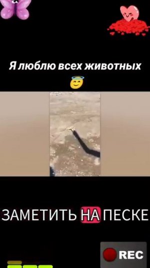 Животные-приколы и не только😉😅