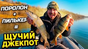 ПОРОЛОН+ПИЛЬКЕР=ЩУЧИЙ ДЖЕКПОТ🍀🔥