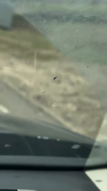 💨 Грузовик с прицепом сдуло ветром на трассе М5 в Самарской области. Очевидцы говорят, что водитель