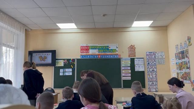 мир бабочек