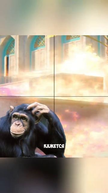 ВКАЧАЛ ОГНЕСТОЙКОСТЬ В КС 2