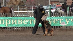 КЛЕОШЛОСС АДЕЛЬ