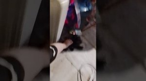 329.mp4