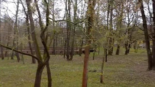 Вид на Новый Иерусалим от Елеонской часовни. 26 апреля 2026 год