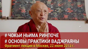 Чокьи Ньима Ринпоче. Основы практики ваджраяны