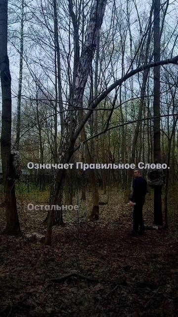 1048 476 
Genius Is A Steed Too Fiery For The Plow Or The Cart. 

Гений - Это Конь, Слишком Вспыльчи