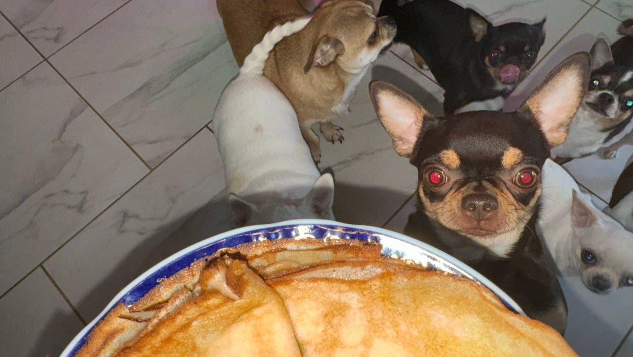 Маленькие попрошаюшки блины выпросили, ну как им не дать.