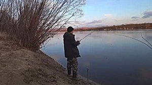 Рыбалка весной на закидушки. Ловим налима.