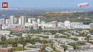 Безопасность городской флоры | МЫ РАЗДЕЛЯЕМ