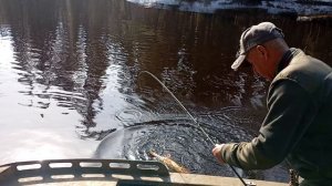 первая щука по жидкой воде сезон 26г