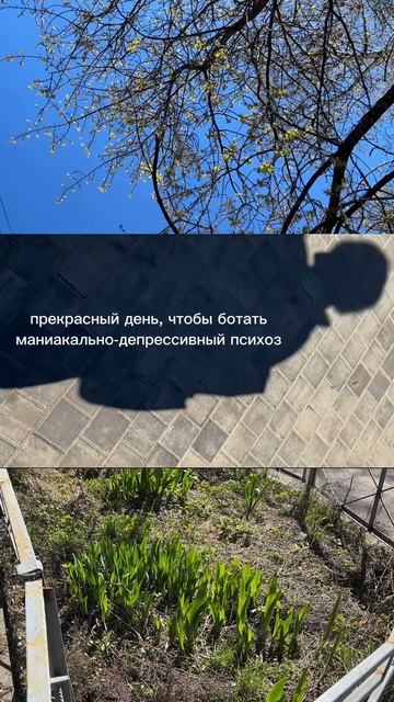 Она хотела стать клиническим психологом