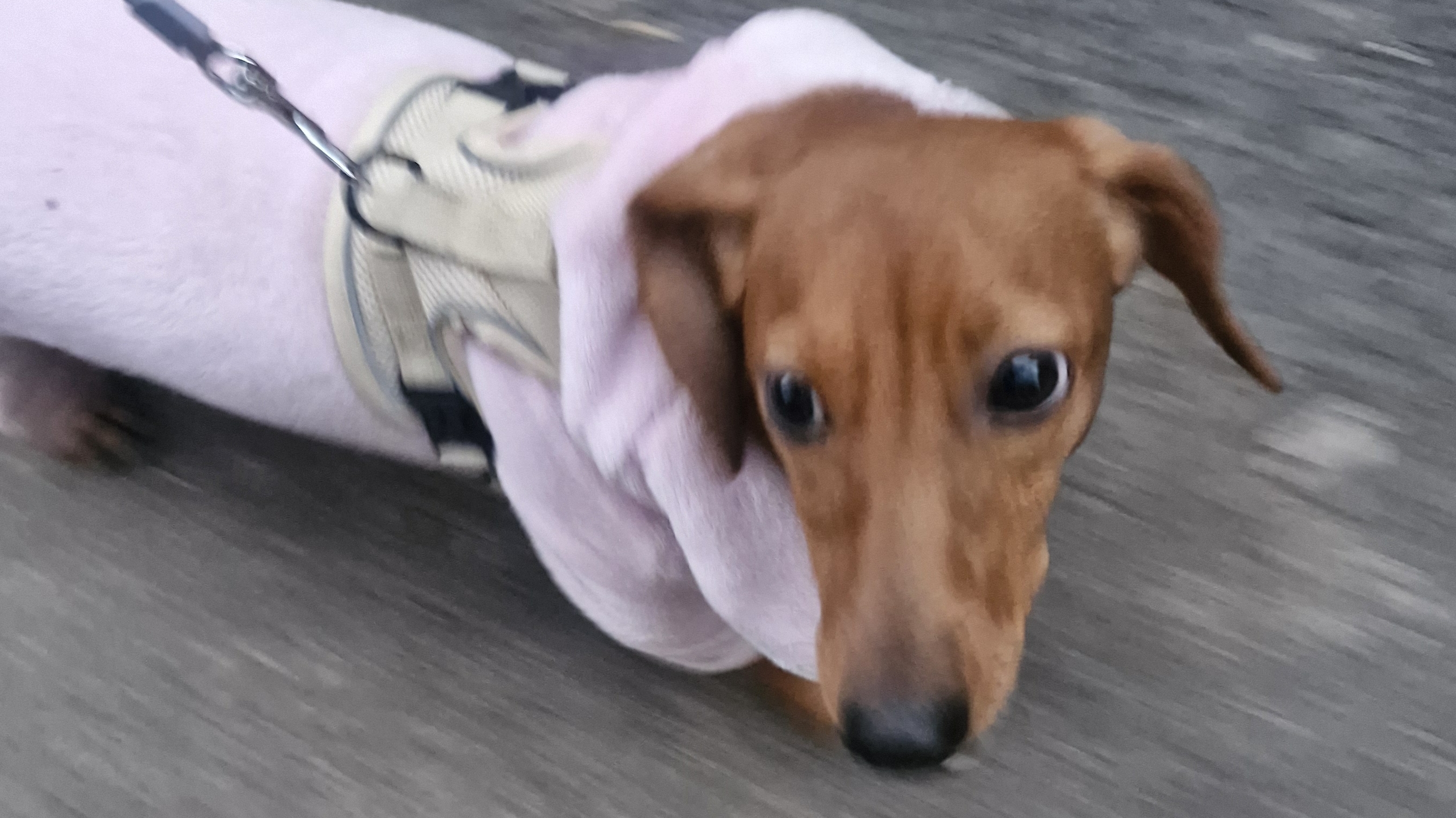 Гуляем и рыбалка