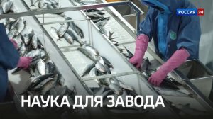 Анонс | Рыбная отрасль: ставка на науку и технологии