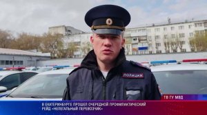 В Екатеринбурге прошел очередной профилактический рейд «Нелегальный перевозчик»