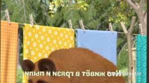 песенка_про_чистоту