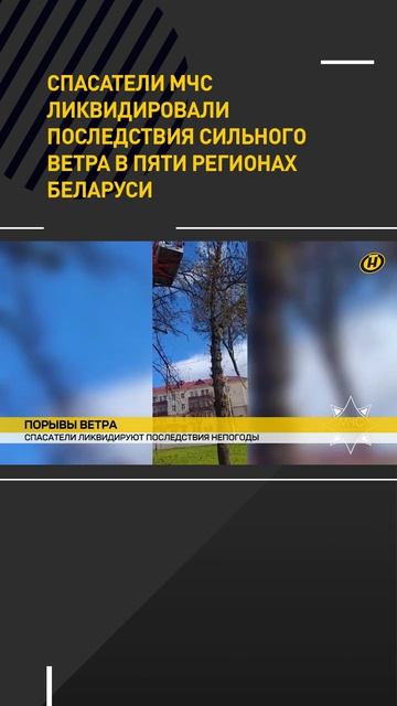 Спасатели МЧС ликвидировали последствия сильного ветра в пяти регионах Беларуси