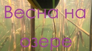 Новая весна #Подводная охота