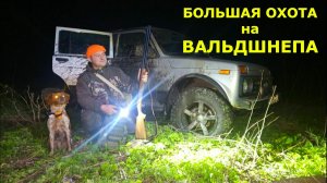 Супер охота на ВАЛЬДШНЕПА! Меткие выстрелы в кадре! Собака хитрит как может...
