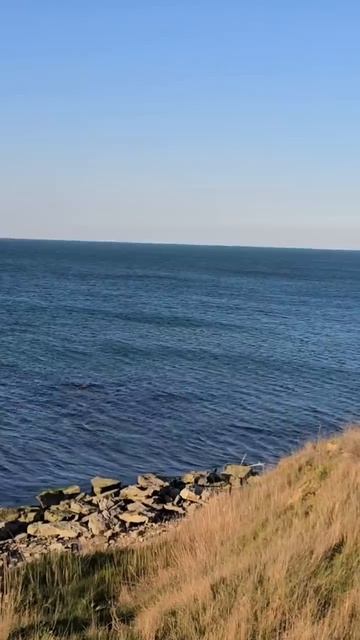 потрясающее явление азовского моря. #подводнаяохота #море