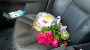 Сюрприз за 1000 километров