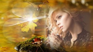 Опять сгорает