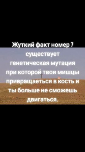 факт #17