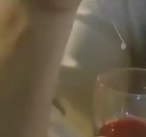 Капля змеиного яда за считанные секунды превращает кровь в желе