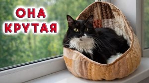 Лежанка домик для кошки своими руками. Бесплатный мастр-класс