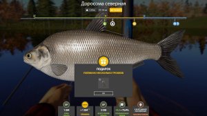 ДОРОСОМА ТРОФЕЙ!!!ЛОСИНОЕ ОЗЕРО - РУССКАЯ РЫБАЛКА 4