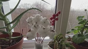 Вот это да🙃Вместо одного платного сделали два бесплатных медобследования. Болталка.mp4