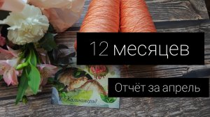 12 месяцев. отчёт за апрель