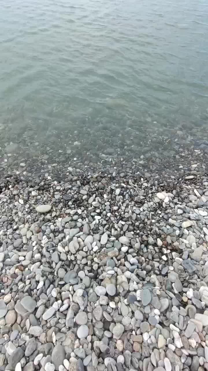 2026-04-27T13:56:29.133Z