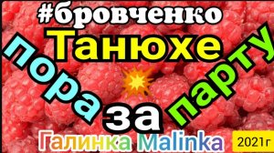 Семья Бровченко _Танюху за школьную парту_Обзор Влогов _