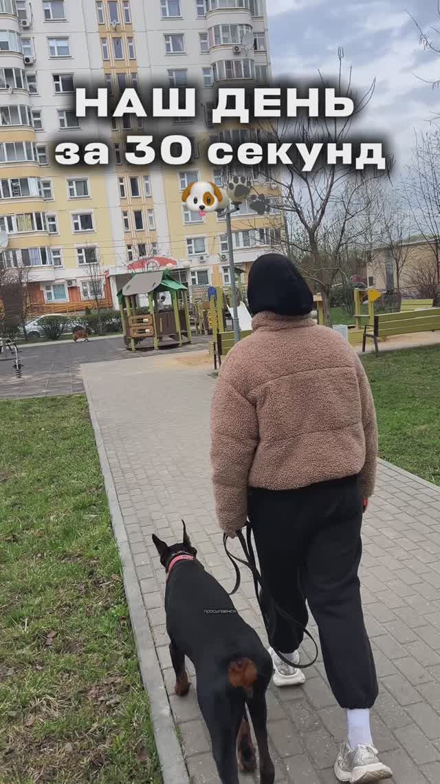 НАШ ДЕНЬ ЗА 30 секунд 🐾📸
