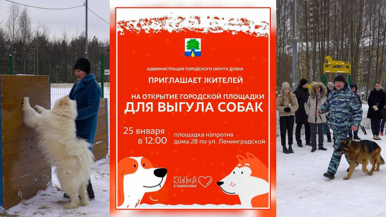 Открытие площадки для собак 2022.01.25 Opening Of The Playground For Dogs 2022.01.25_2