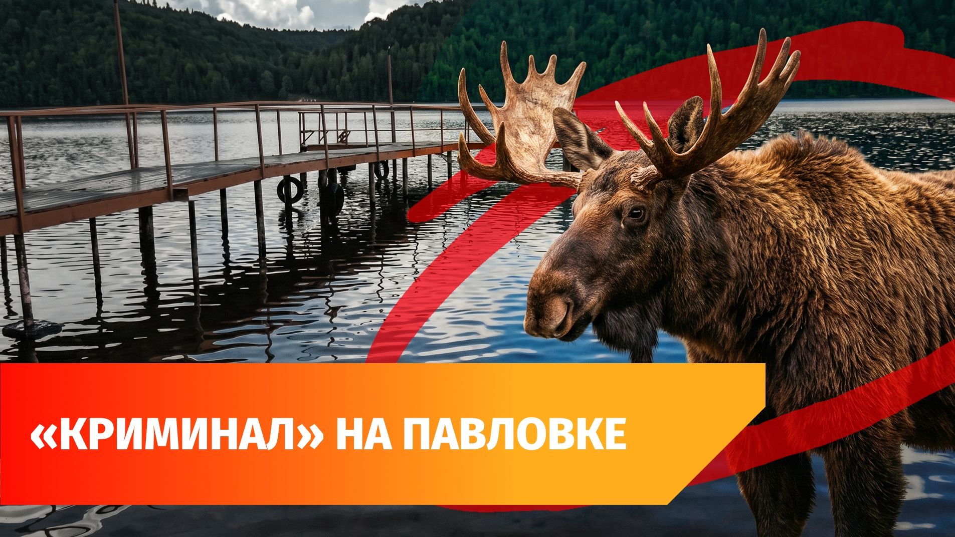 В Башкирии из Павловского водохранилища достали «медведя», который оказался лосем