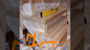 1000057131.mp4 (Собака наблюдает за устройством лестницы на 2-ой этаж в доме А-фрейм)