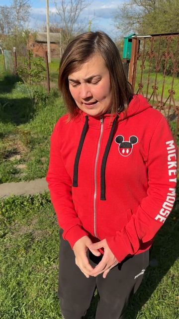 Разбила вазу