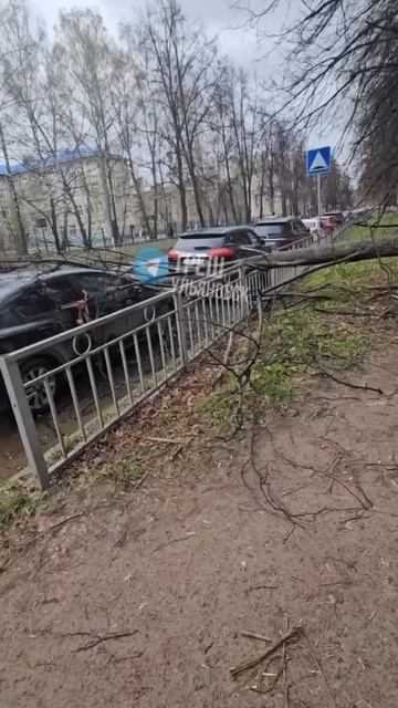 На Терешковой у 52 школы дерево упало на автомобиль