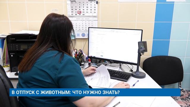 В ОТПУСК С ЖИВОТНЫМ: ЧТО НУЖНО ЗНАТЬ?