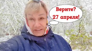 Москву занесло. Снегопад валит деревья-великаны