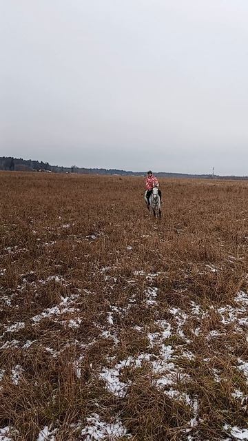 Завершение зимнего сезона