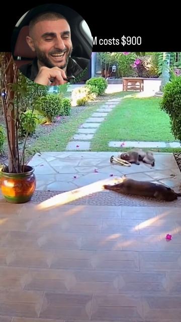 Угадай просмотры и получи ДЕНЬГИ!