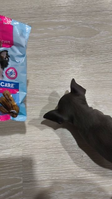 Купила малышке лакомство