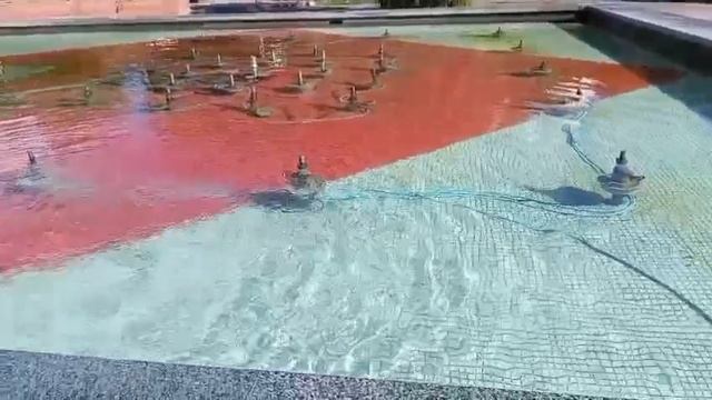 #ах это шикарное лето шмели красота цветы восторг