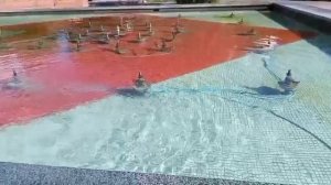 #ах это шикарное лето шмели красота цветы восторг