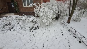 27-04-2026 Апрельский снегопад в Москве