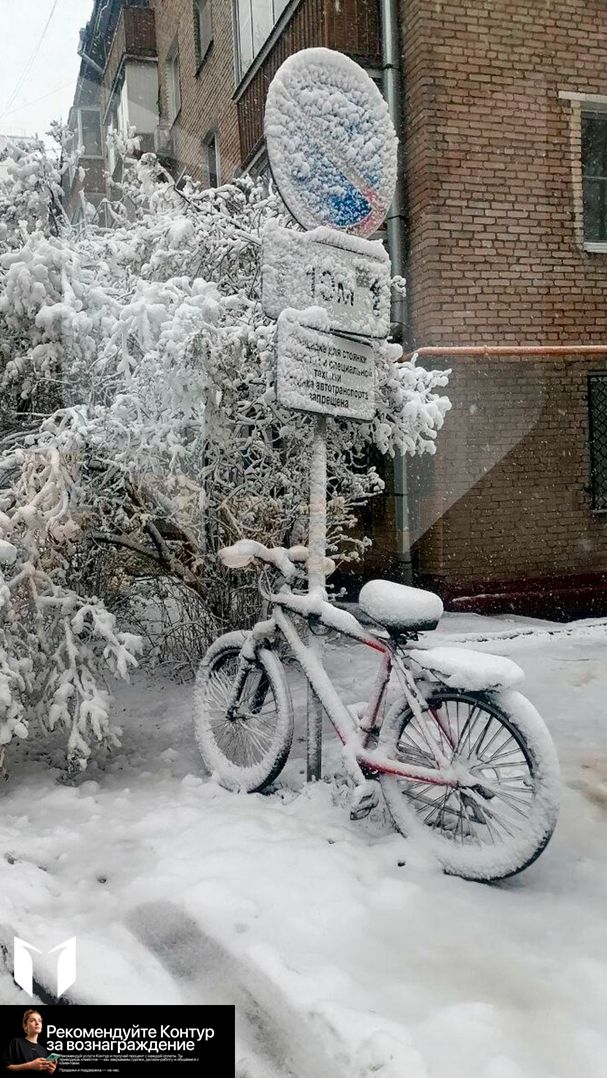 Москва и Питер утонули в снегу
