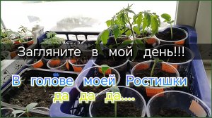 Загляните в мой день//ростишки, что то с ними не так 😔